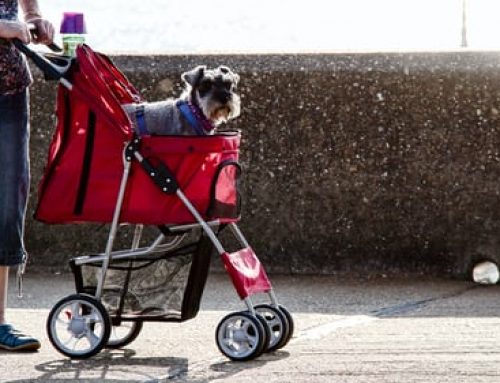 What do you need to know before buying a pram ?